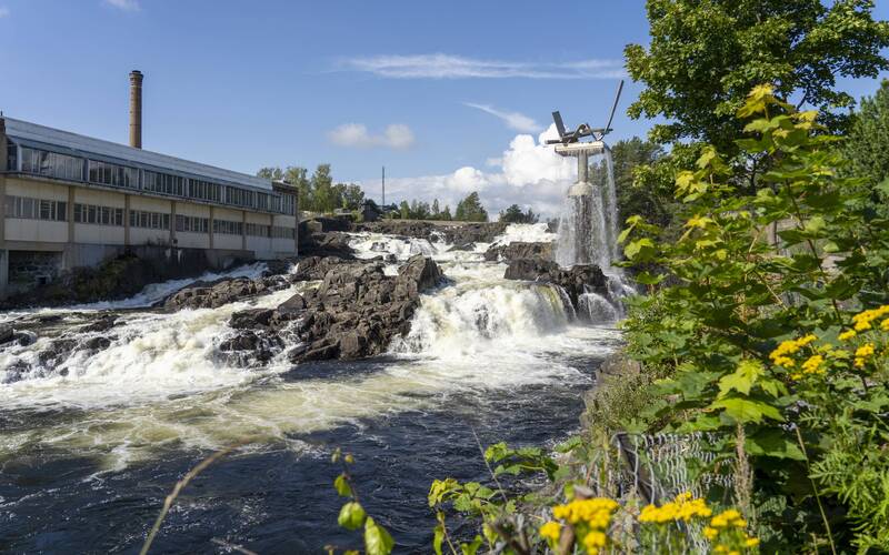 Sommerhilsen fra Ringerike Næringsforening