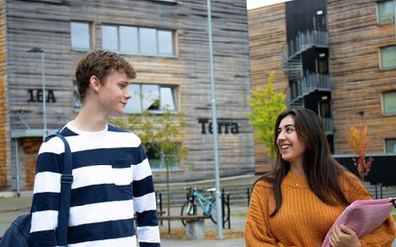 Vil du gjøre en forskjell for en student, og samtidig få verdifull innsikt tilbake?
