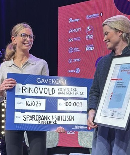 Ringerike gründerpris