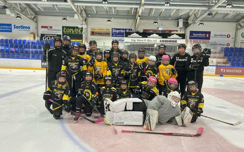 Medlemsintroduksjon av Ringerike Panthers 